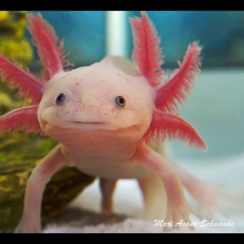 Meet your Posher, Micayla